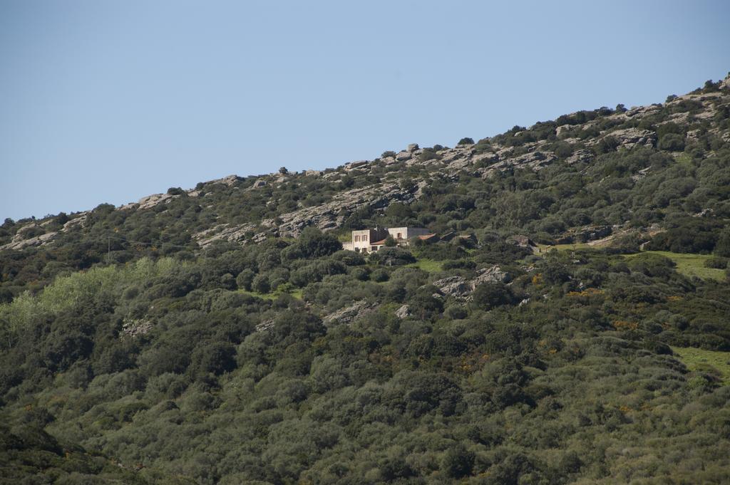 Campi Elisi B&B Sassari Bagian luar foto