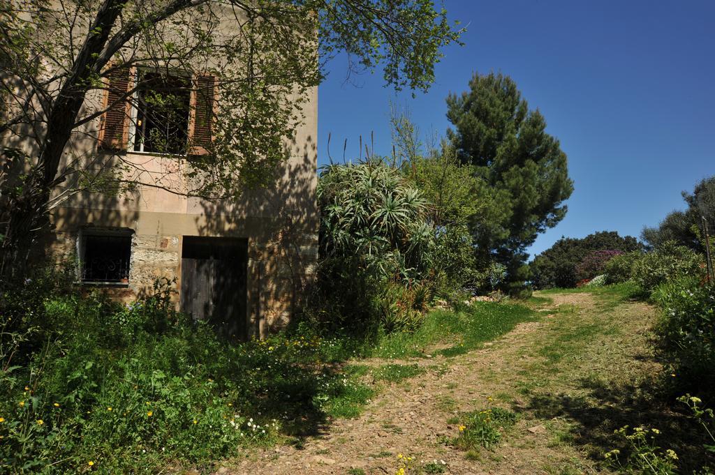 Campi Elisi B&B Sassari Bagian luar foto
